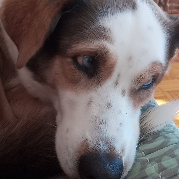 Meet your Posher, Emilie - Picture 1 of 1